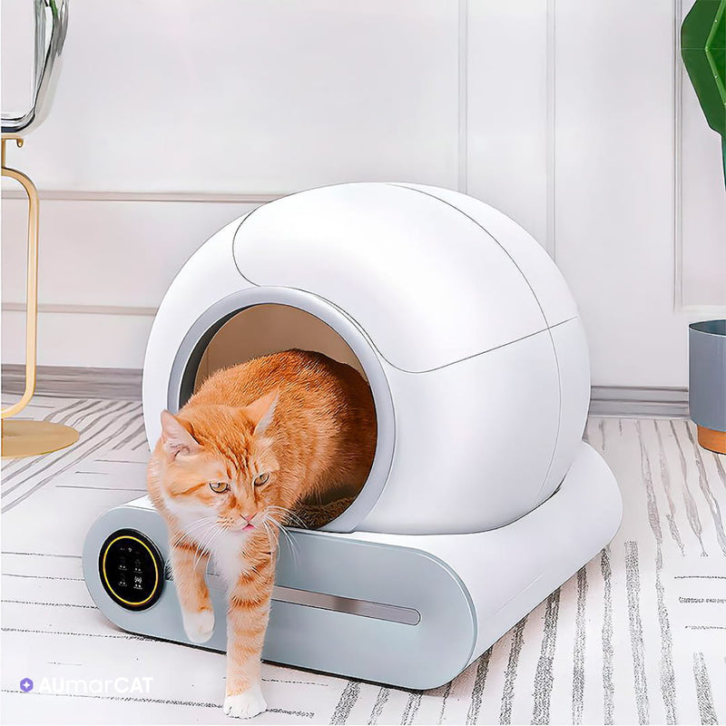 Caixa de Areia Automática para Gatos com Inteligência Artificial