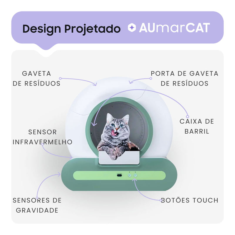 Caixa de Areia Automática para Gatos com Inteligência Artificial