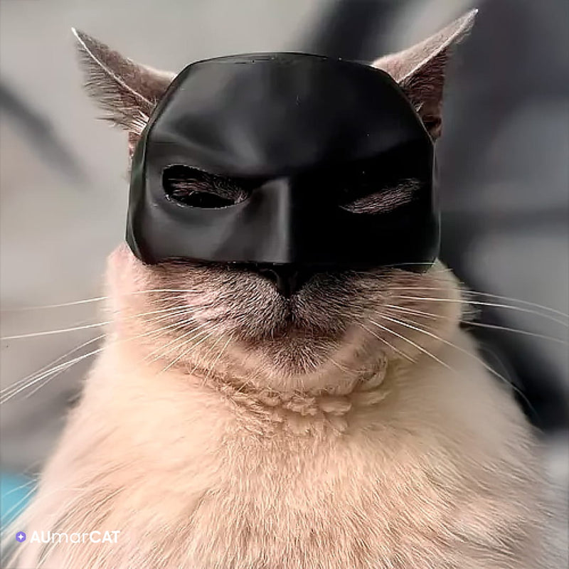 Máscara de Super-Herói Batman para Gatos BatCat