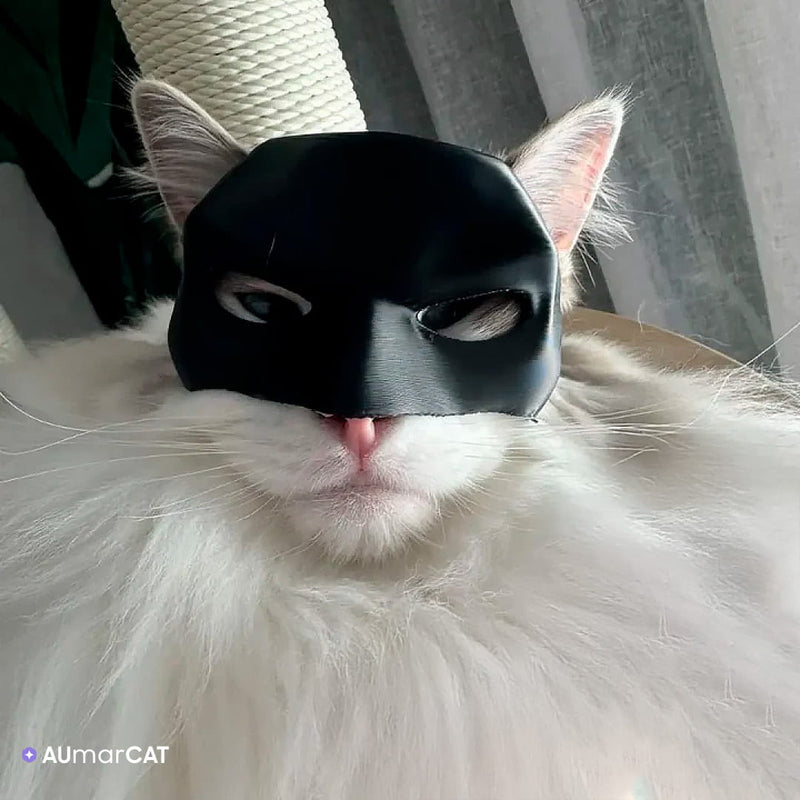 Máscara de Super-Herói Batman para Gatos BatCat