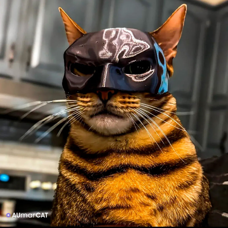 Máscara de Super-Herói Batman para Gatos BatCat